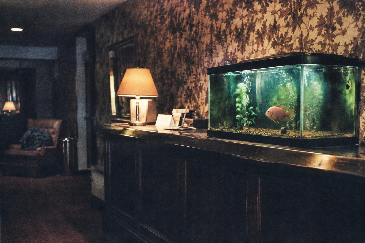 A large orange fish in a glowing aquarium on an old hotel desk.