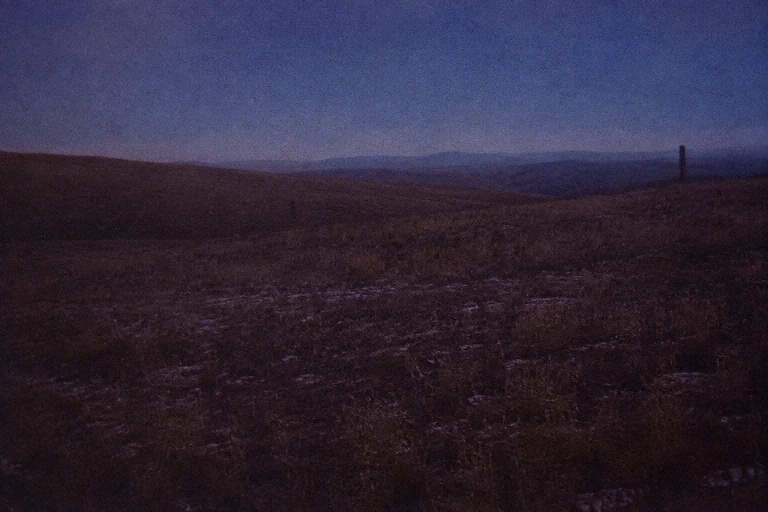 An empty slope of winter grass under a dark blue sky.